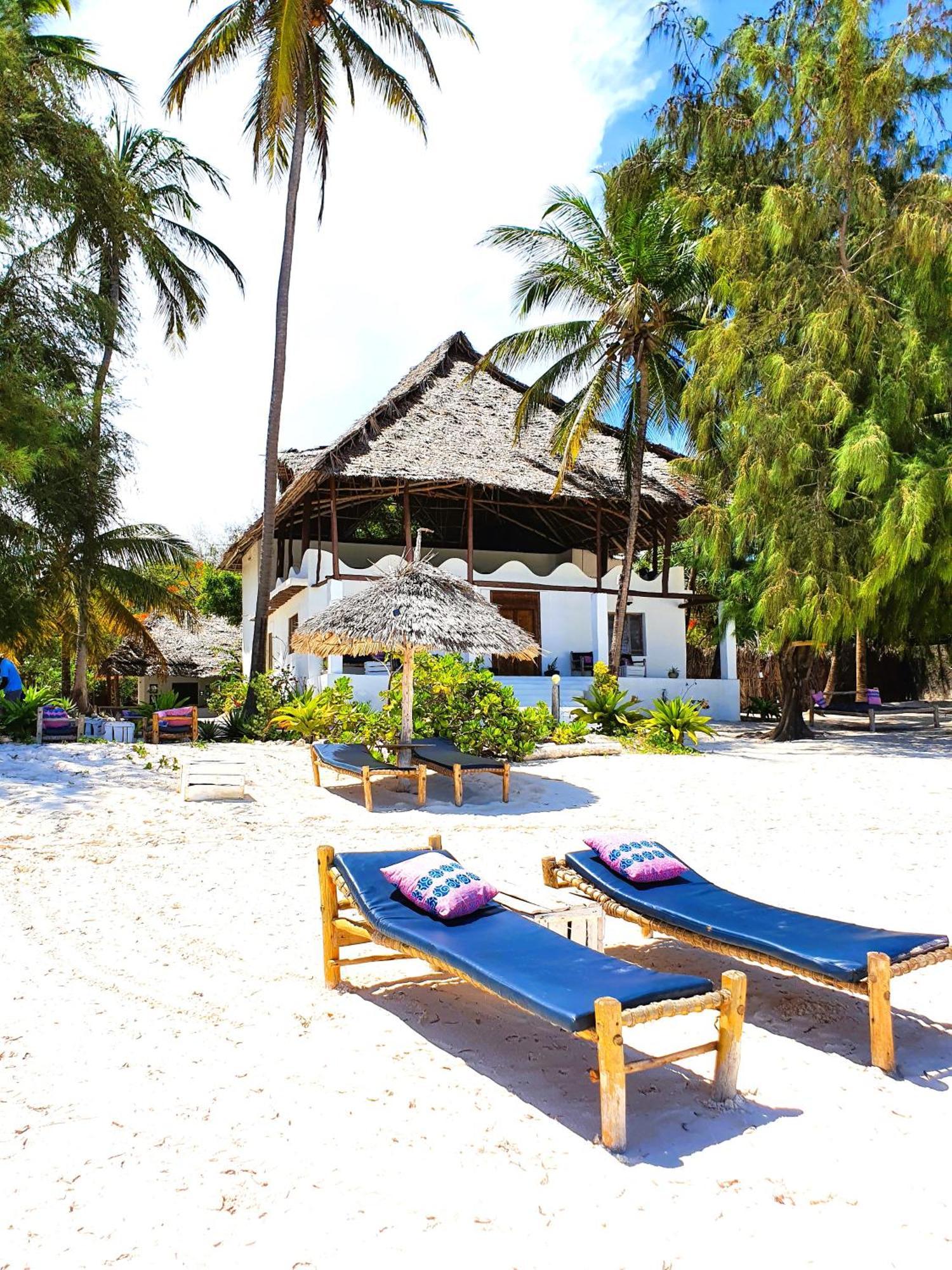 Blue Palm Zanzibar Acomodação com café da manhã Bwejuu Exterior foto